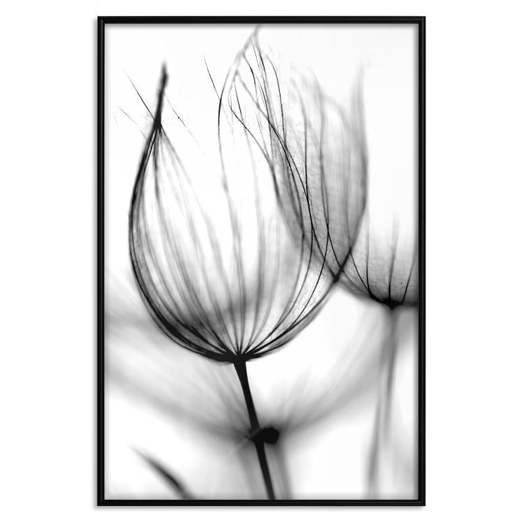 Poster Dandelion in the Wind - black dandelion flower on a contrasting background