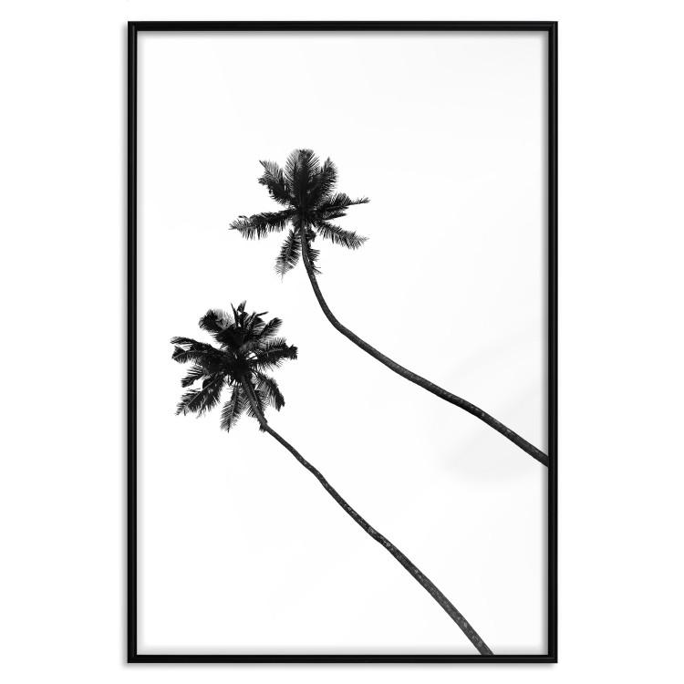 Poster Solitary Palms - black tropical trees on a contrasting white background
