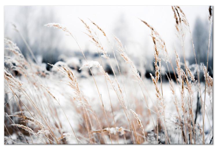 Canvas Print Ice Land (1-piece) Wide - meadow landscape in winter scenery
