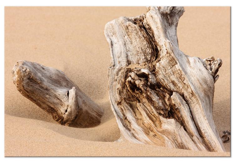 Canvas Print Uncovered Past (1-piece) Wide - wood bark landscape on the beach