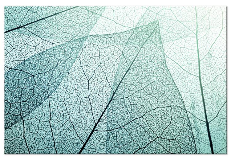 Canvas Print Macro Flora (1-piece) Wide - abstract close-up of a leaf