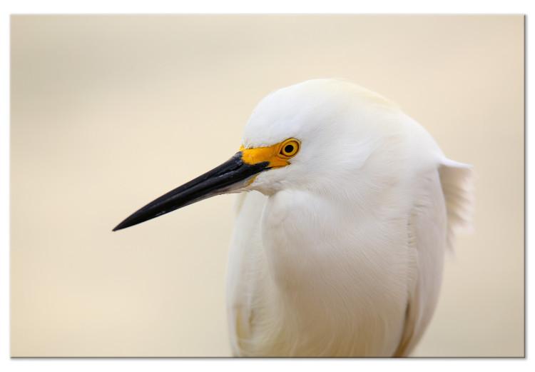 Canvas Print Snowy Egret (1-piece) Wide - white bird with a yellow element