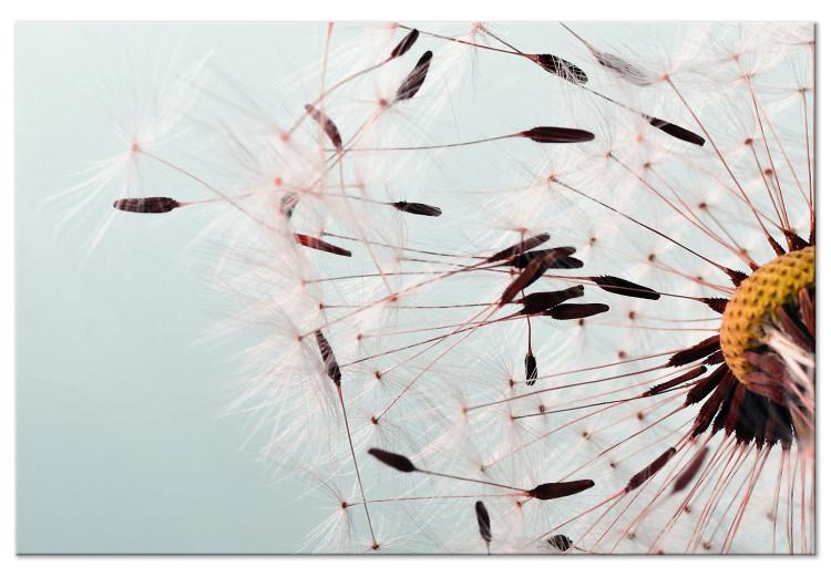 Canvas Print Wind Gust (1-piece) Wide - dandelion flower close-up