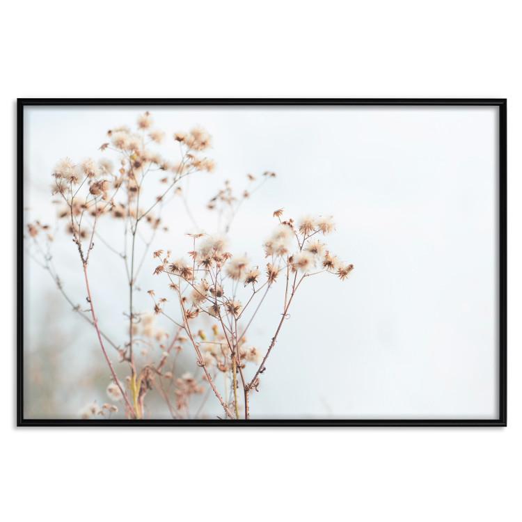 Poster Cloudy Morning - plant landscape against a blurred background of bright sky