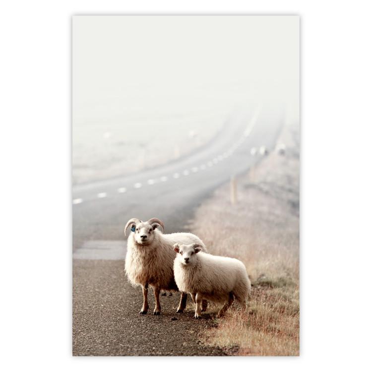 Poster Extraordinary Hitchhikers - landscape of animals by the road against a field