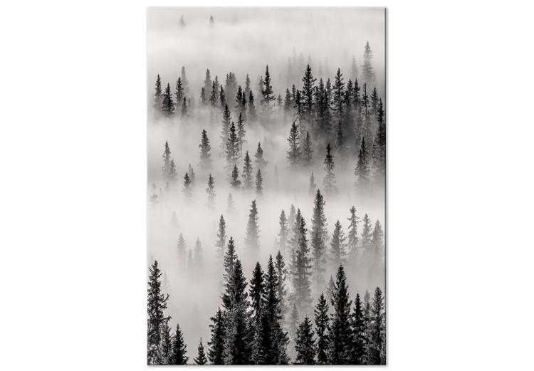 Canvas Print Nesting Ground (1-piece) Vertical - landscape of misty dark forest