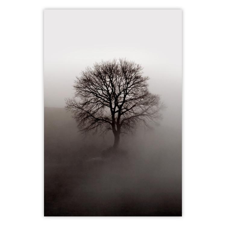 Poster Power Dormant in a Tree - landscape of a leafless tree in thick fog