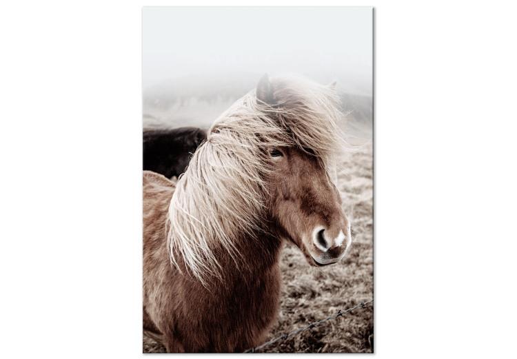 Canvas Print Against the Wind (1-piece) Vertical - horse in a portrait photograph