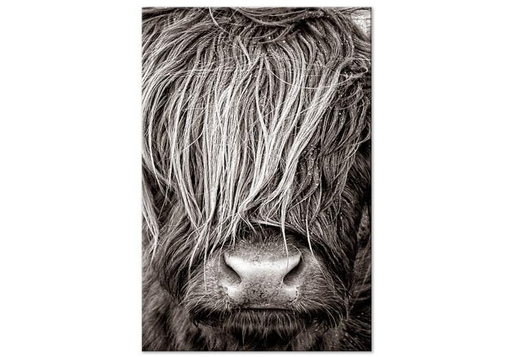Canvas Print Face to Face with Nature (1-piece) Vertical - photograph of an animal
