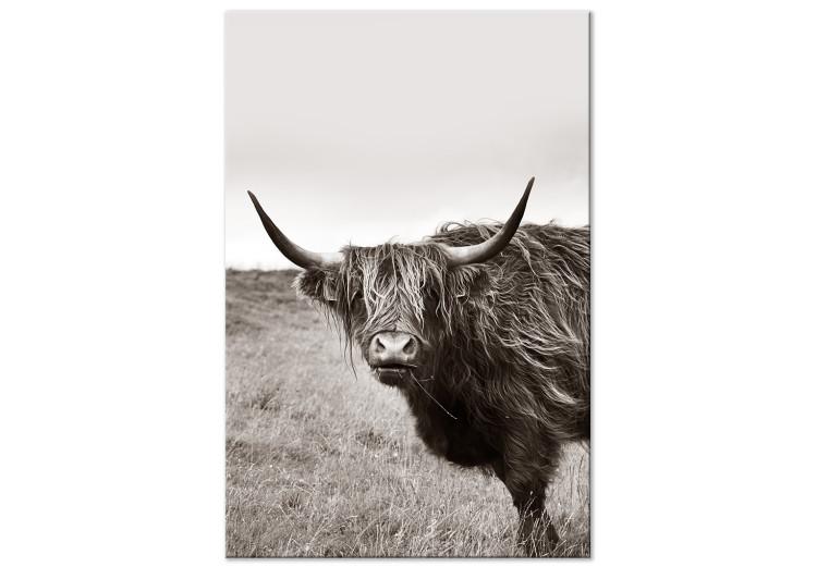 Canvas Print Ancient (1-piece) Vertical - gray photograph of a bull in a meadow