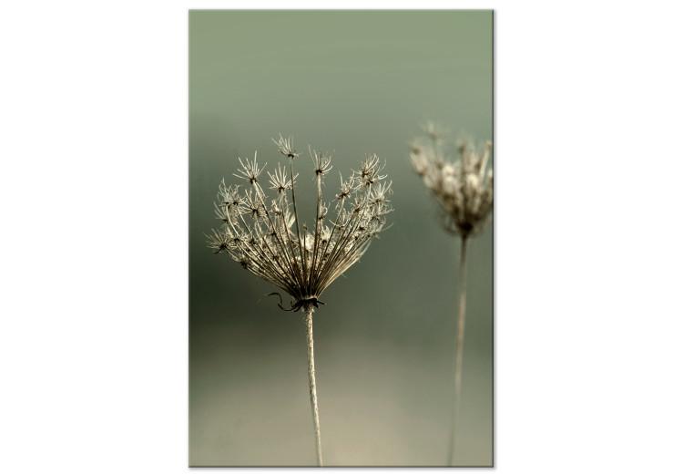 Canvas Print Longing for Past Summer (1-piece) Vertical - photograph of flowers