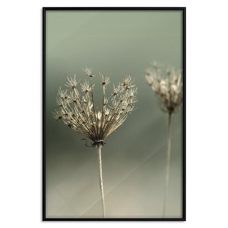 Poster Longing for Summer Past - summer plant against a blurred green background