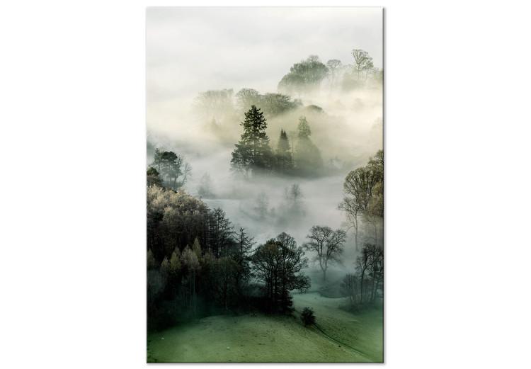 Canvas Print Morning Chill (1-piece) Vertical - landscape of misty forest scenery
