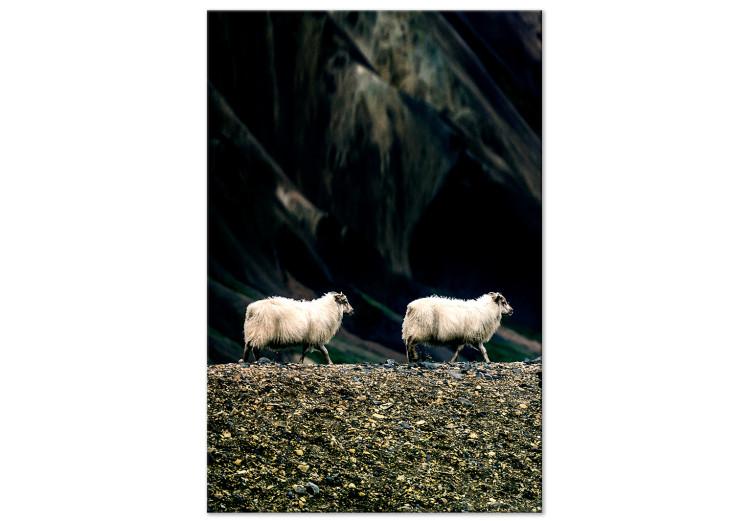 Canvas Print Follow Me! (1-piece) Vertical - photograph of two white animals