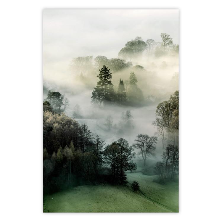 Poster Morning Chill - landscape of trees surrounded by dense fog against the sky