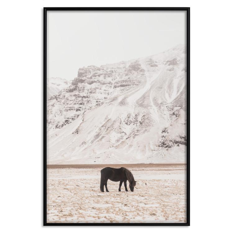 Poster Solitude in the Valley - landscape of a black animal against a mountain backdrop