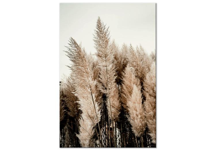 Canvas Print Dreamy Feather (1-piece) Vertical - autumn landscape of forest nature