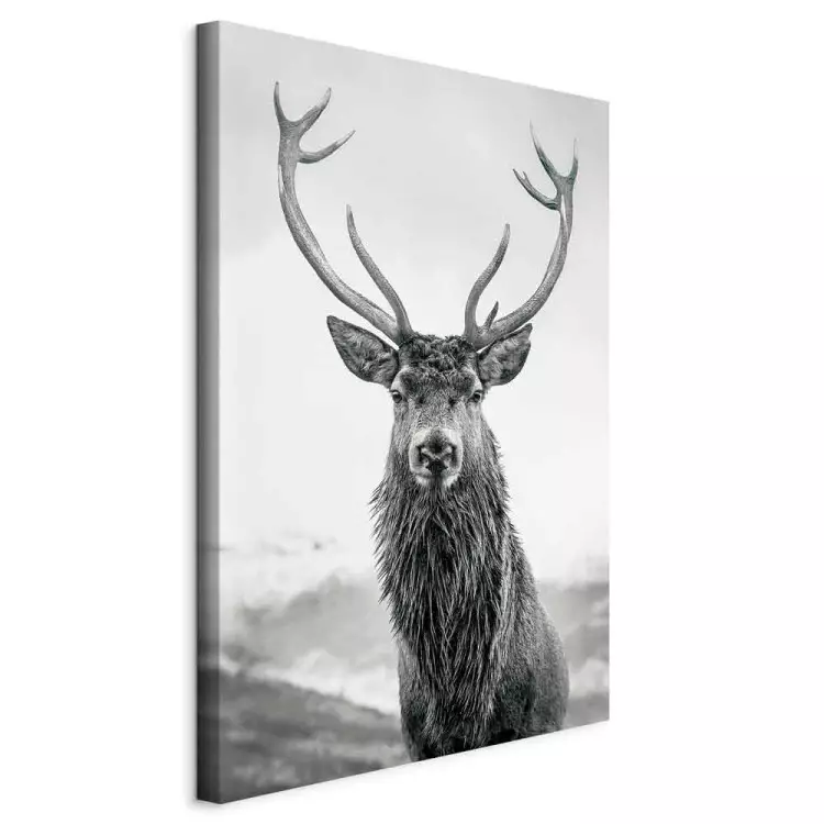 Lord of Autumn (1-piece) Vertical - black and white animal portrait