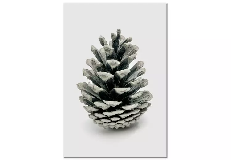 Winter cone - floral, winter photograph on a white background