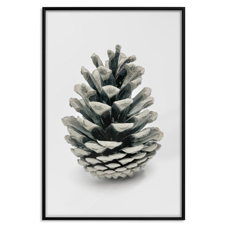 Poster Open Nature - composition of a forest cone on a solid gray background