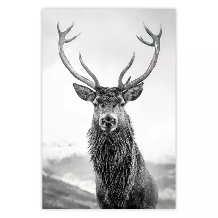 Lord of Autumn - black and white portrait of a deer against a background of sky and nature