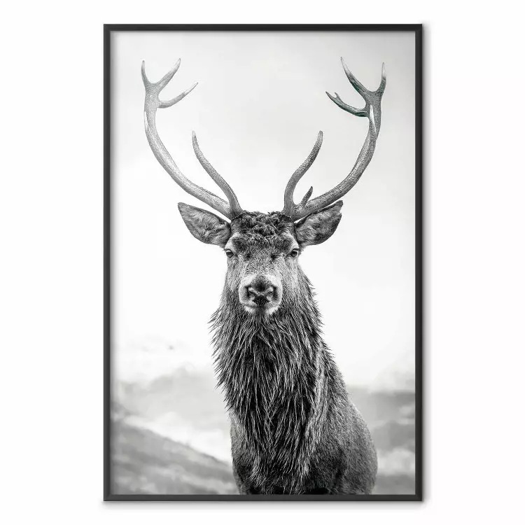 Lord of Autumn - black and white portrait of a deer against a background of sky and nature