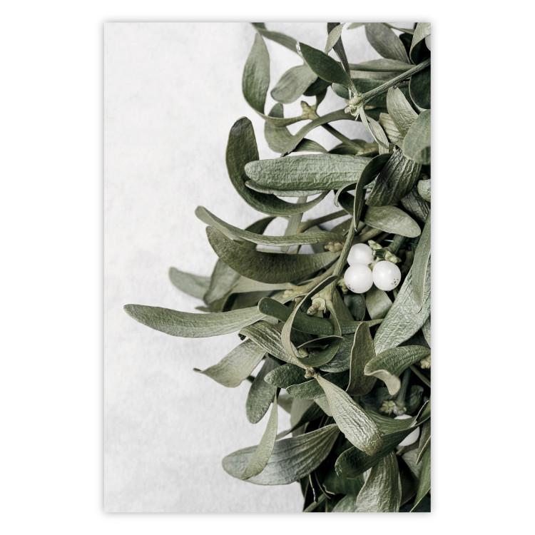 Poster Happy Kiss - leafy plant with flowers on a gray background