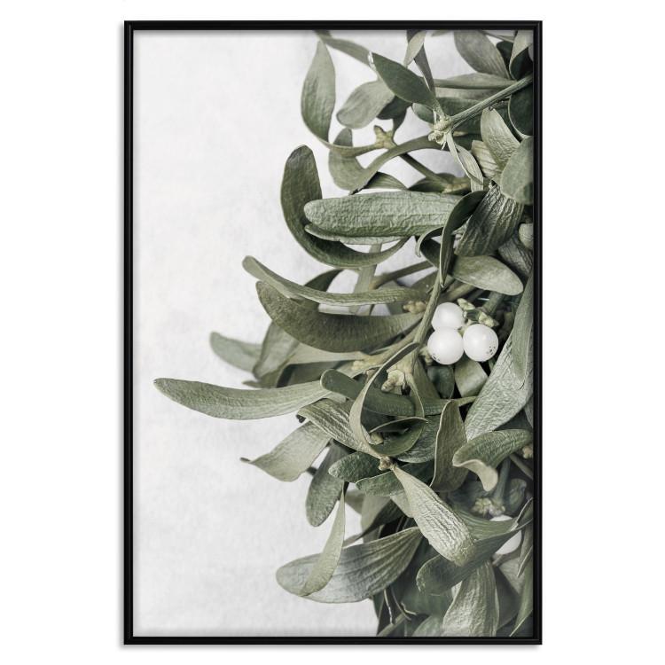 Poster Happy Kiss - leafy plant with flowers on a gray background