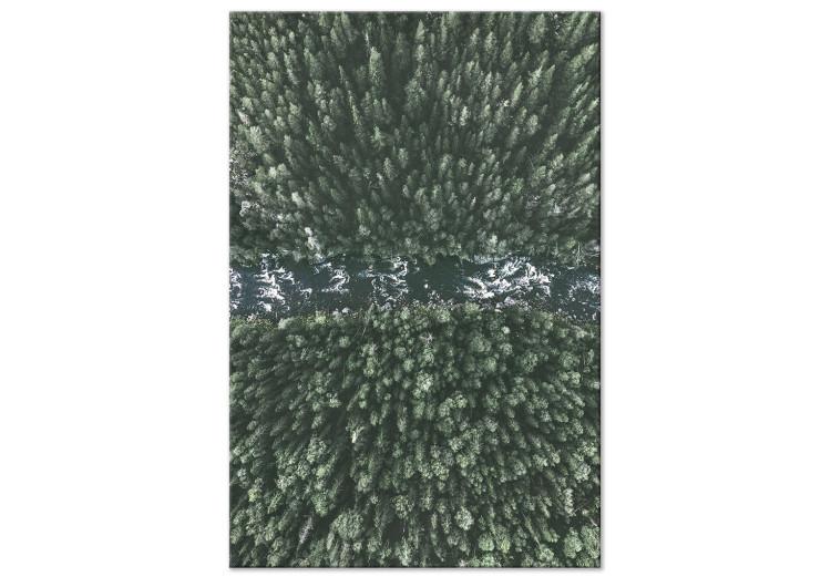 Canvas Print Forest River (1-piece) Vertical - landscape of forest and river from a bird's eye view