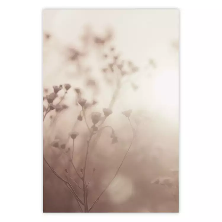 Poster Morning Meadow - a composition of plants with flowers against the backdrop of sunlight