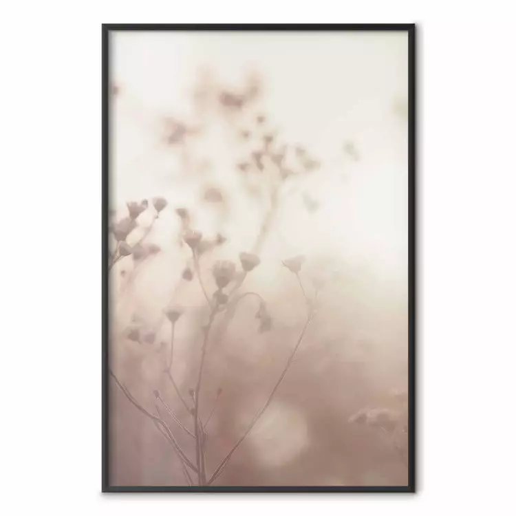 Morning Meadow - a composition of plants with flowers against the backdrop of sunlight