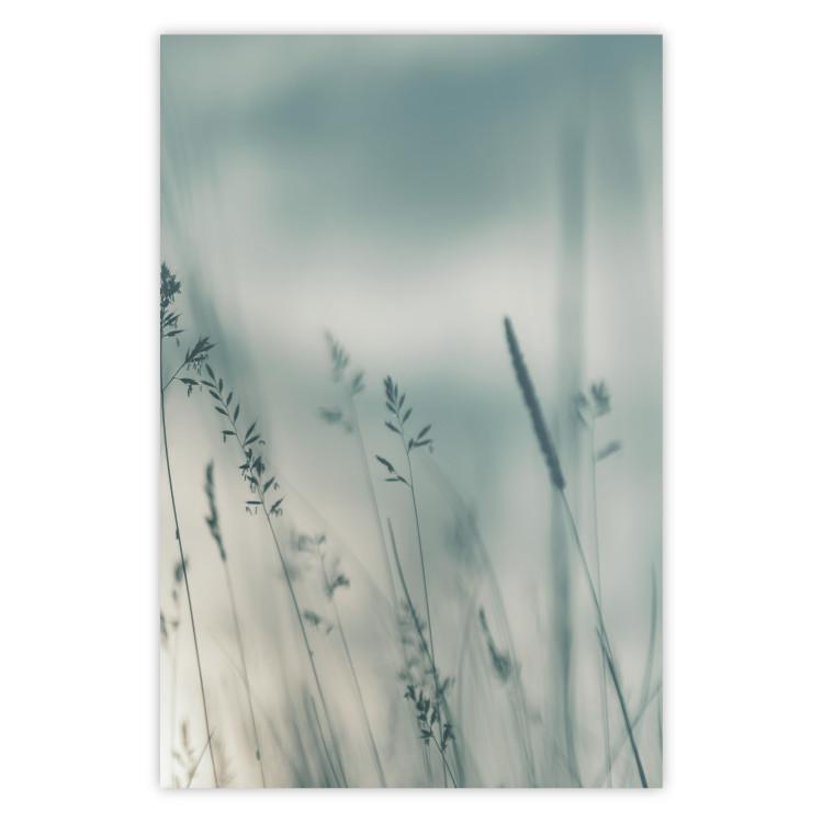 Poster Tall Grass - a landscape of a meadow with tall grass in pastel colors