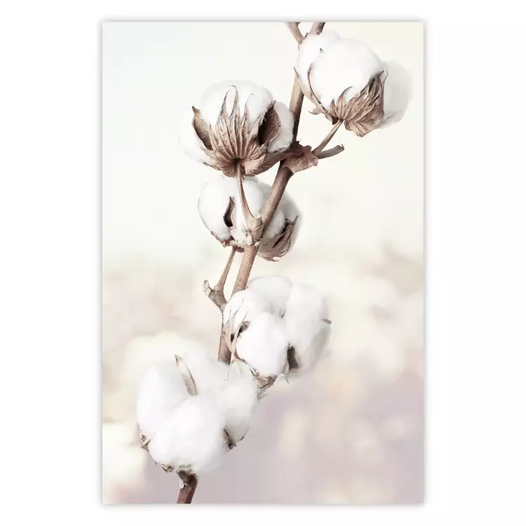 Subtlety of Nature - a landscape of a plant with white flowers on a bright background