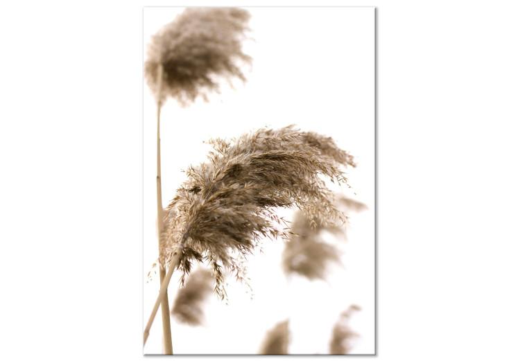 Canvas Print Dry Wind (1-piece) Vertical - plant landscape in boho motif
