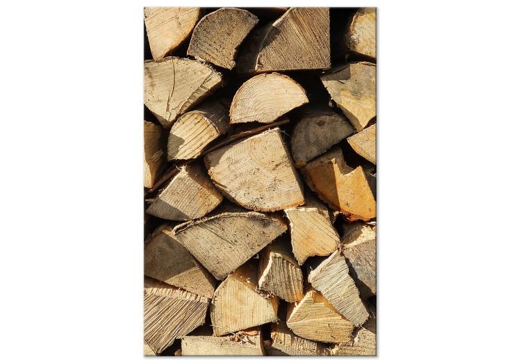 Canvas Print Beauty of Wood (1-piece) Vertical - landscape of multiple pieces of wood