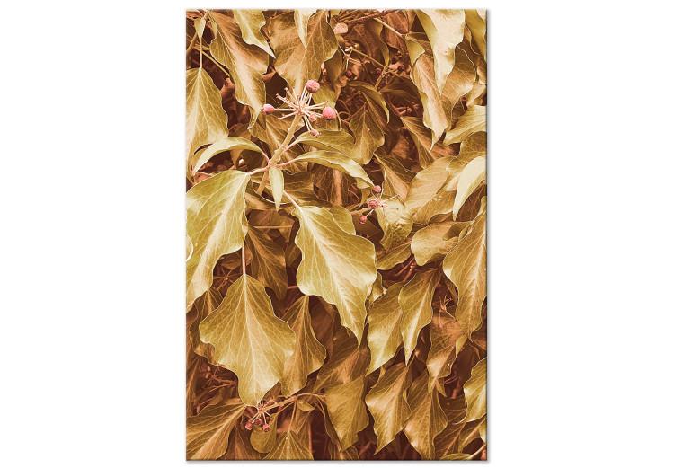 Canvas Print Autumn leaves on tree - a plant landscape in golden-yellow colours