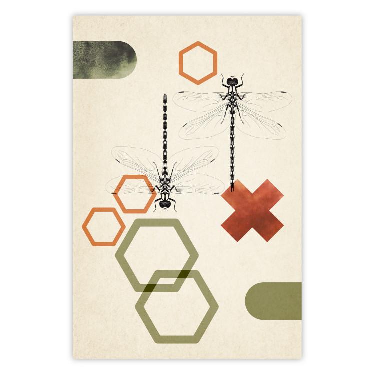 Poster Dragonflies and Geometry - abstract composition of colorful figures and insects