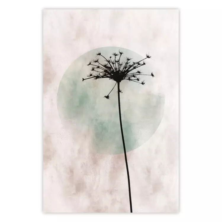 Autumn Evening - black dandelion flower on a light background with a large circle