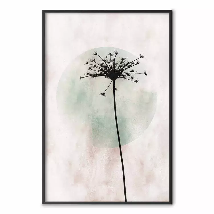Autumn Evening - black dandelion flower on a light background with a large circle