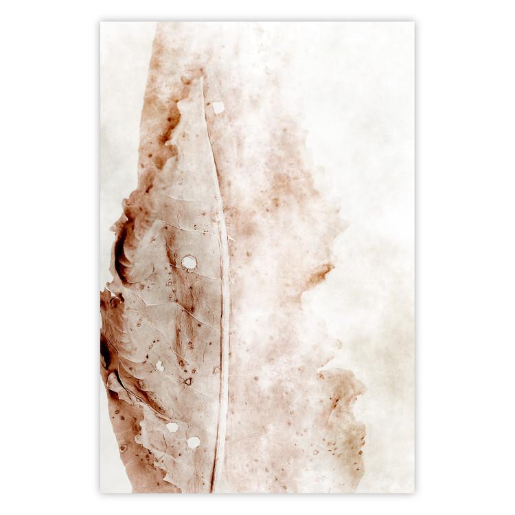 Poster Mature Leaf - abstract texture of a brown leaf on a white background