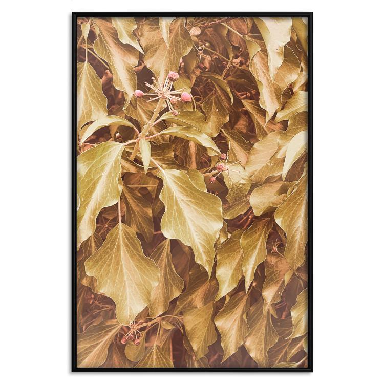 Poster Autumn Aura - plant composition on a hedge in sepia motif