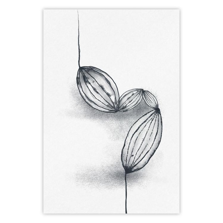 Poster Cocoa Beans - line art of cocoa beans on a contrasting white background