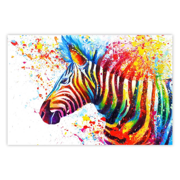 Poster Zebra Levels - animal in a multicolored composition on a white background