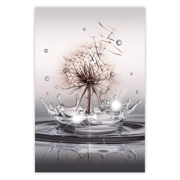 Poster Wind Drops - dandelion in water creating ripples on a light background