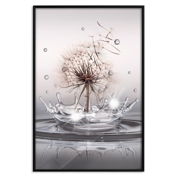 Poster Wind Drops - dandelion in water creating ripples on a light background
