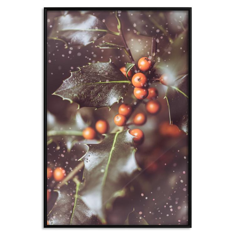 Poster Magic Shrub - plant with green leaves in a wintry holiday atmosphere
