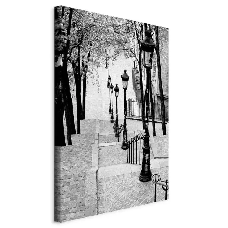 Montmartre Vertical - black and white sidewalks in Paris