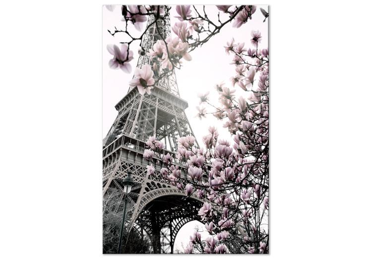 Canvas Print Magnolias in the Sun of Paris (1-piece) Vertical - spring magnolias