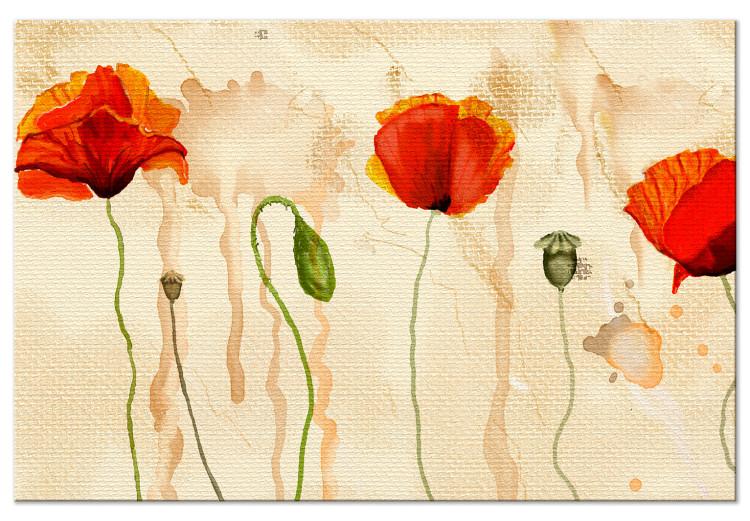 Large canvas print Tears of Poppies [Large Format]