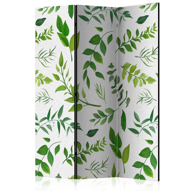 Room Divider Green Branches (3-piece) - composition of leaves on a white background